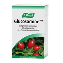 Product_partial_glucosamine_plus