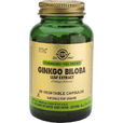 Product_related_xlarge_20200318170316_solgar_ginkgo_biloba_leaf_extract_60_fytikes_kapsoules
