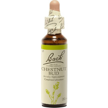 Product_partial_20190531112104_power_health_bach_chestnut_bud_20ml
