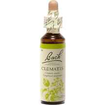 Product_partial_20190531112108_power_health_bach_clematis_20ml