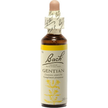 Product_partial_20190531111956_power_health_bach_gentian_20ml