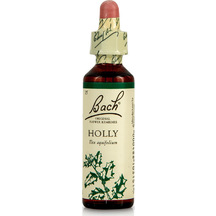 Product_partial_20210421153921_power_health_bach_holly_20ml