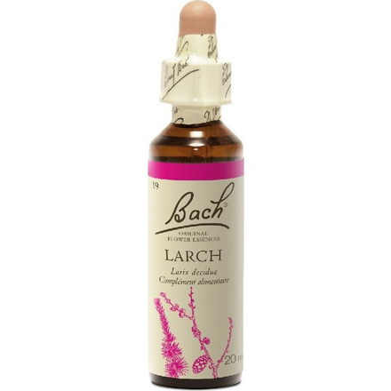 Product_main_20190531110931_power_health_bach_larch_20ml