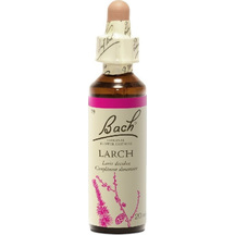 Product_partial_20190531110931_power_health_bach_larch_20ml