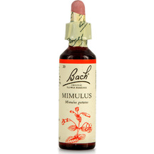 Product_partial_20190531110918_power_health_bach_mimulus_20ml