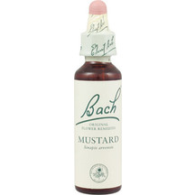 Product_partial_20190531110744_power_health_bach_mustard_20ml