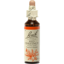 Product_partial_20190531111900_power_health_bach_red_chestnut_20ml