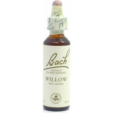 Product_main_20190531110825_power_health_bach_willow_20ml