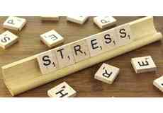 Article_partial_stress-disorders-1200x600