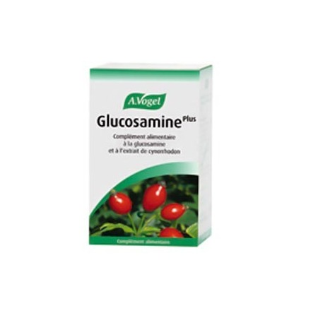 Product_main_glucosamine_plus
