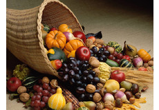 Article_partial_autumnfood-fruits